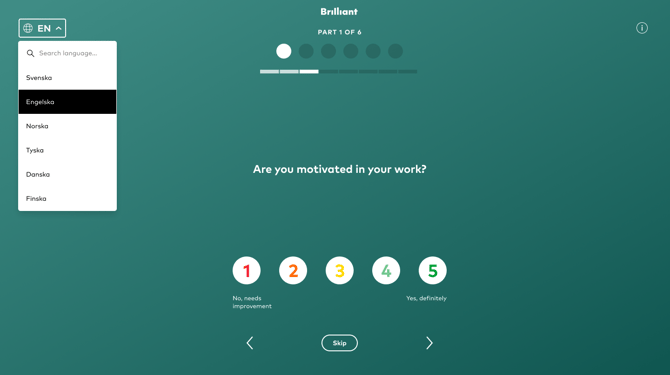 Survey_lang_en